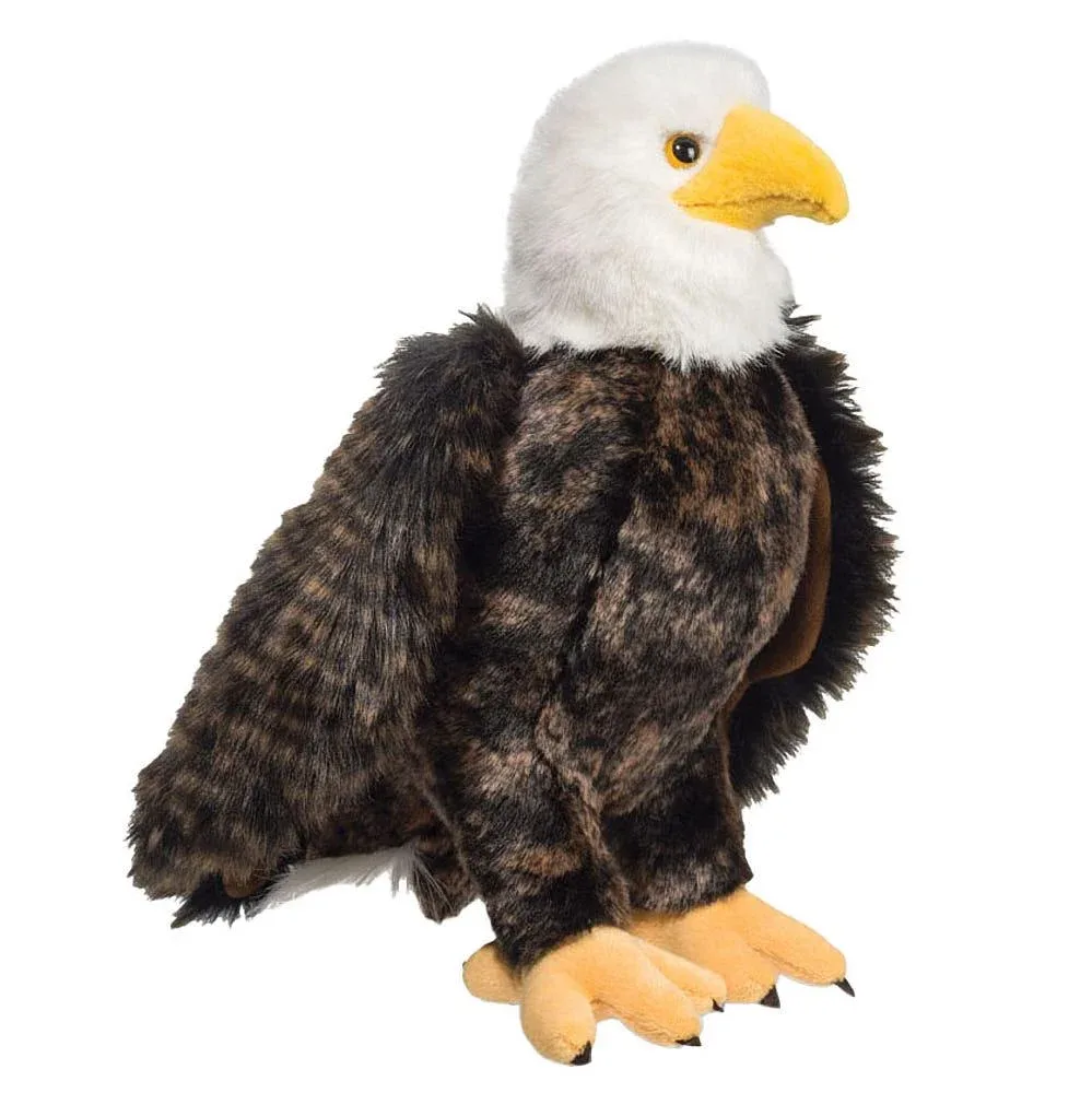 Douglas Adler Bald Eagle