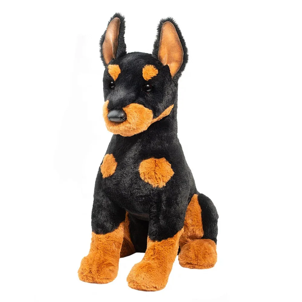 Douglas Co Maverick Doberman - Image 2