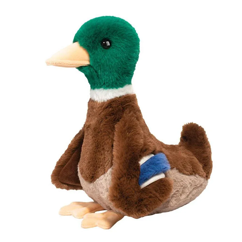 Douglas Desie Mallard Duck