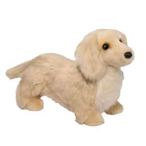 Douglas Haisley Golden Dachshund
