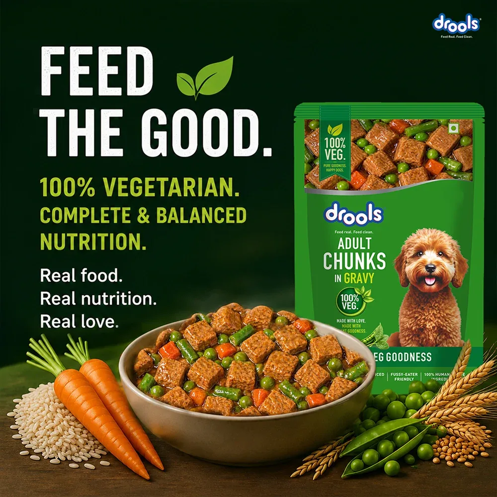 Drools 100% Veg Chunks in Gravy Adult Dog Wet Food - Image 2