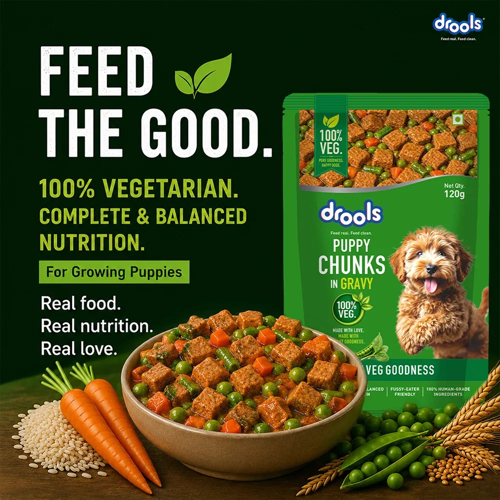 Drools 100% Veg Chunks in Gravy Puppy Wet Food - Image 2