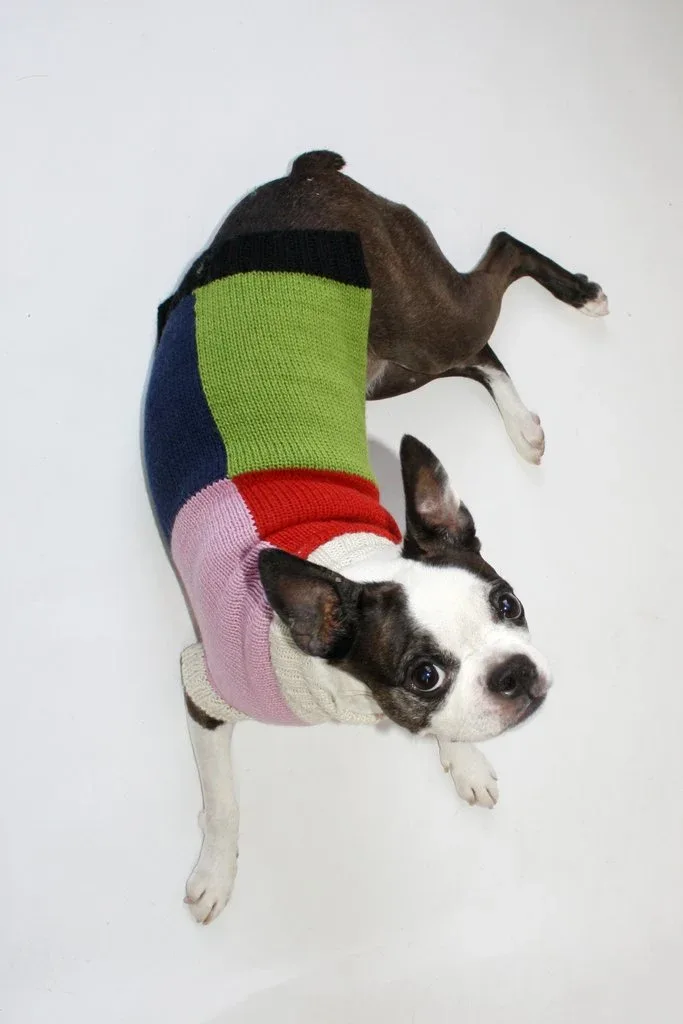 DUSEN DUSEN | Grid Dog Sweater - Image 2