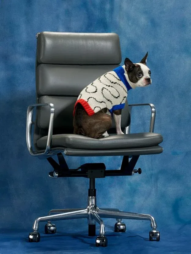 DUSEN DUSEN | Ivory Arc Dog Sweater - Image 2