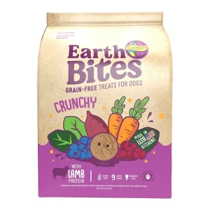 Earthborn Holistic EarthBites Crunchy Dog Treats Lamb & Pumpkin 1ea/10 oz