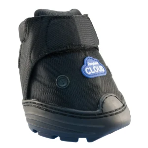 EasyBoot® Cloud