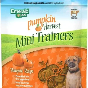 Emerald Pet Pumpkin Harvest Mini Trainers Chewy Dog Treats