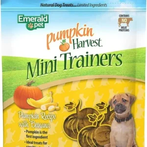 Emerald Pet Pumpkin Harvest Mini Trainers with Banana Chewy Dog Treats