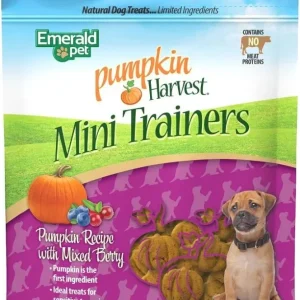 Emerald Pet Pumpkin Harvest Mini Trainers with Mixed Berries Chewy Dog Treats