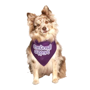 Emotional Support Dog Bandana by Dog Fashion Living