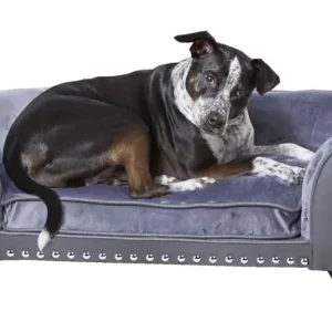 Enchanted Home Pet Paloma Pebble Gray Pet Sofa