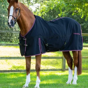 END OF LINE - Barrasso Stable Sheet Black