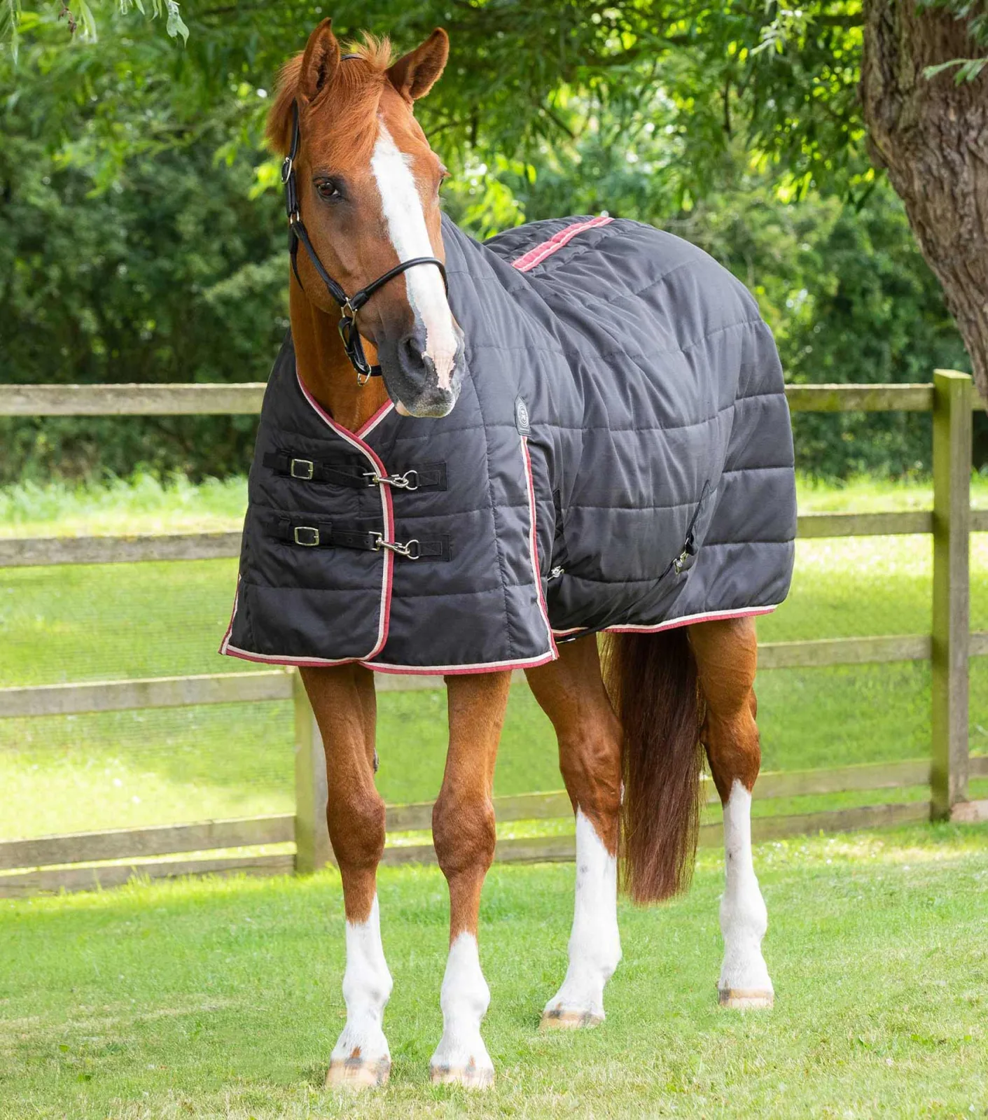END OF LINE - Garissa Stable Rug 100g Black