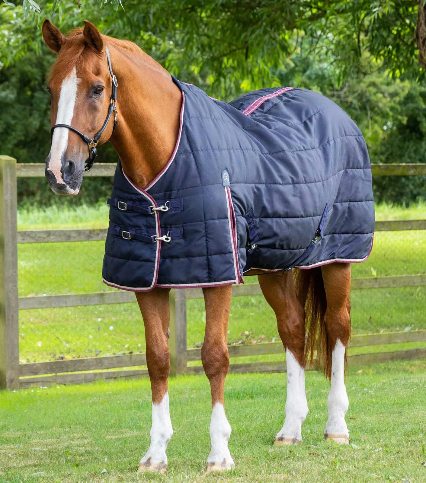 END OF LINE - Garissa Stable Rug 100g Navy