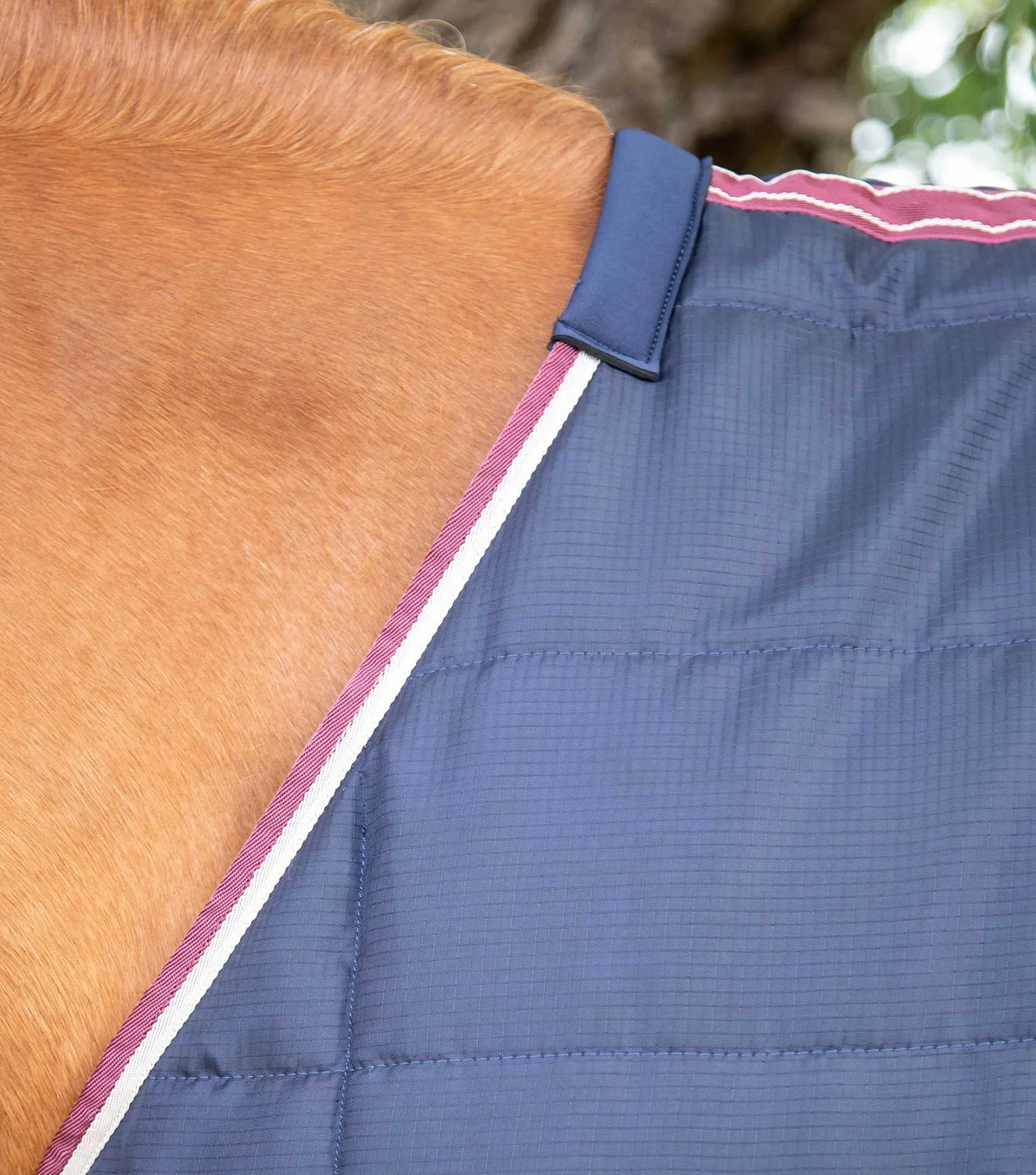 END OF LINE - Garissa Stable Rug 100g Navy - Image 2
