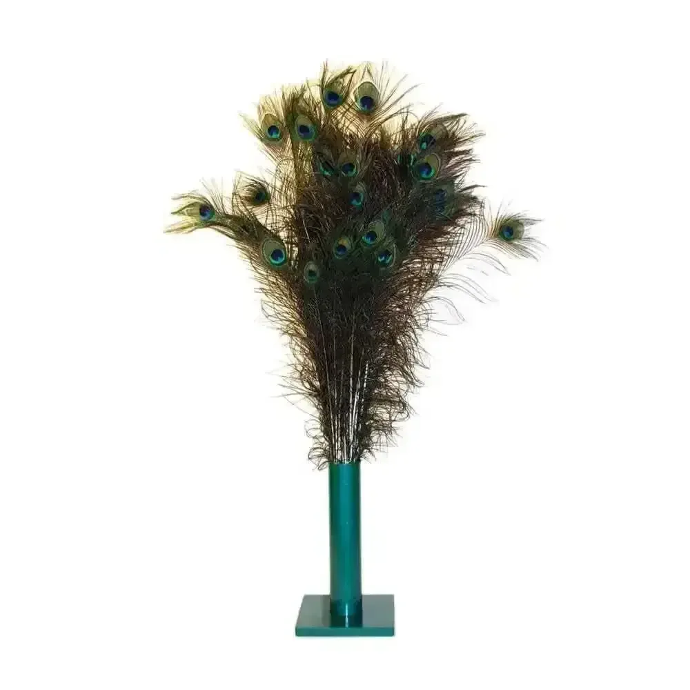 Enhance Playtime with Natural Peacock Feather Cat Toys – 100 Count