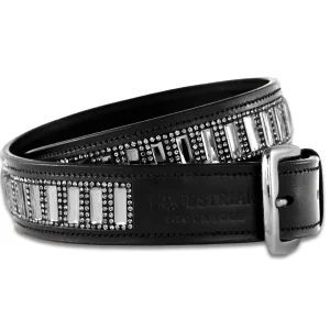 Equestrian Stockholm Contest Belt