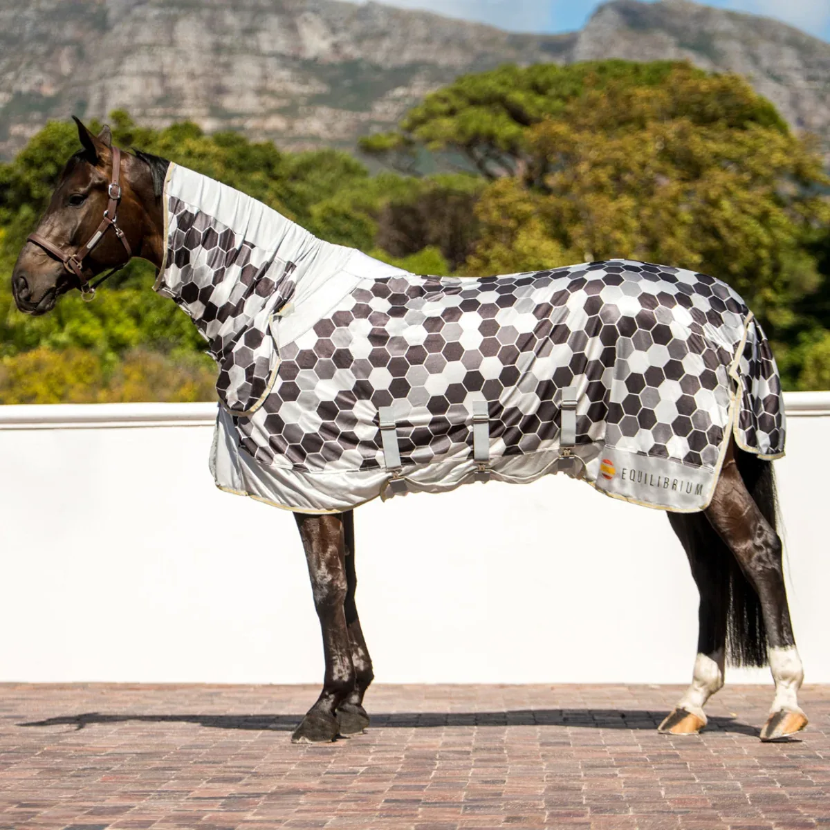 Equilibrium Field Relief Fly Sheet