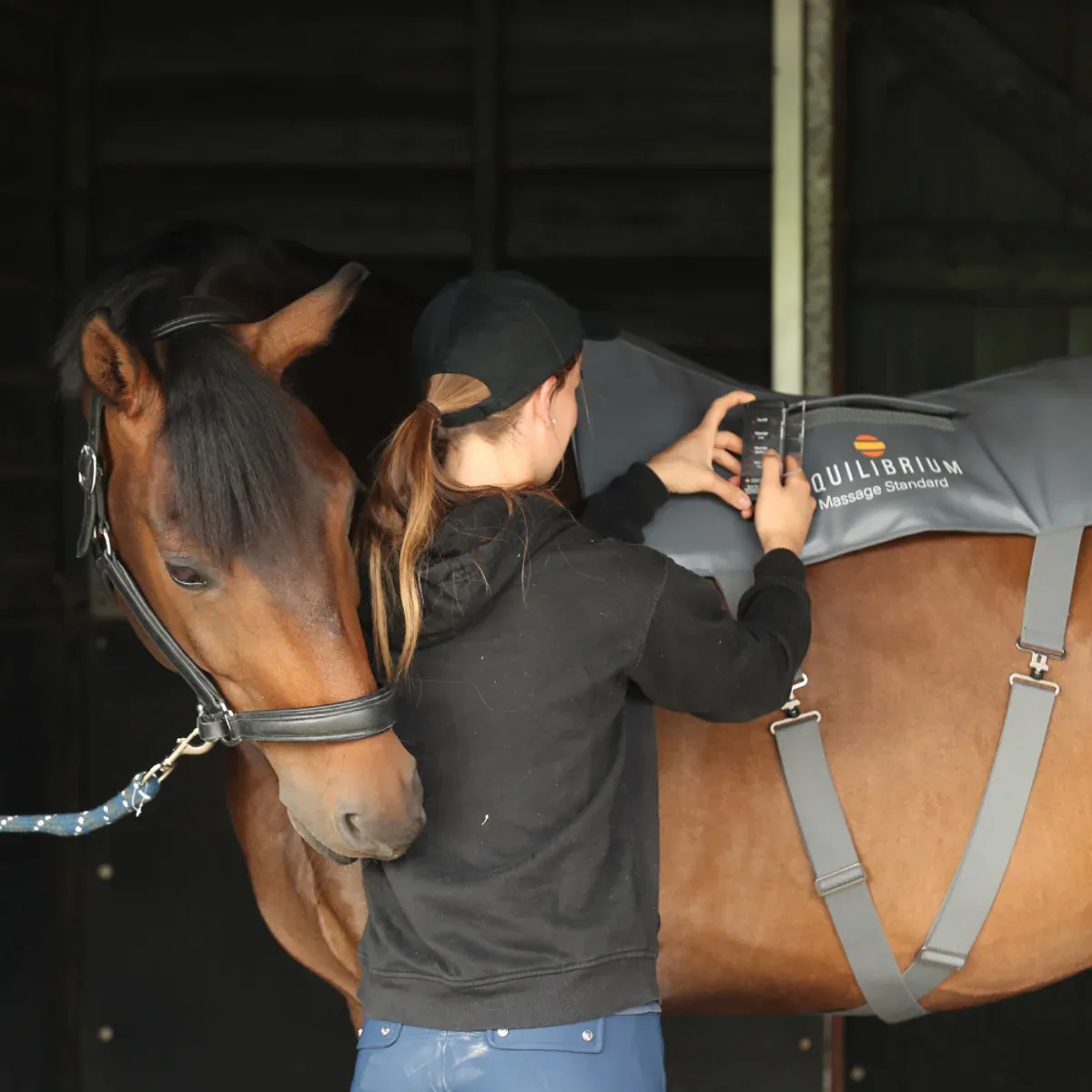 Equilibrium Therapy® Massage Pad (Standard Horse Size)