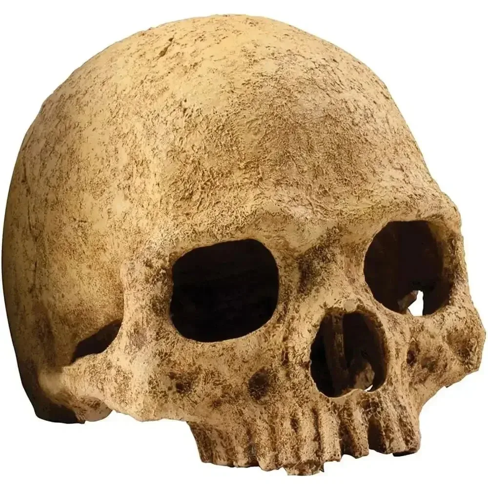 Exo Terra Terrarium Primate Skull Decoration