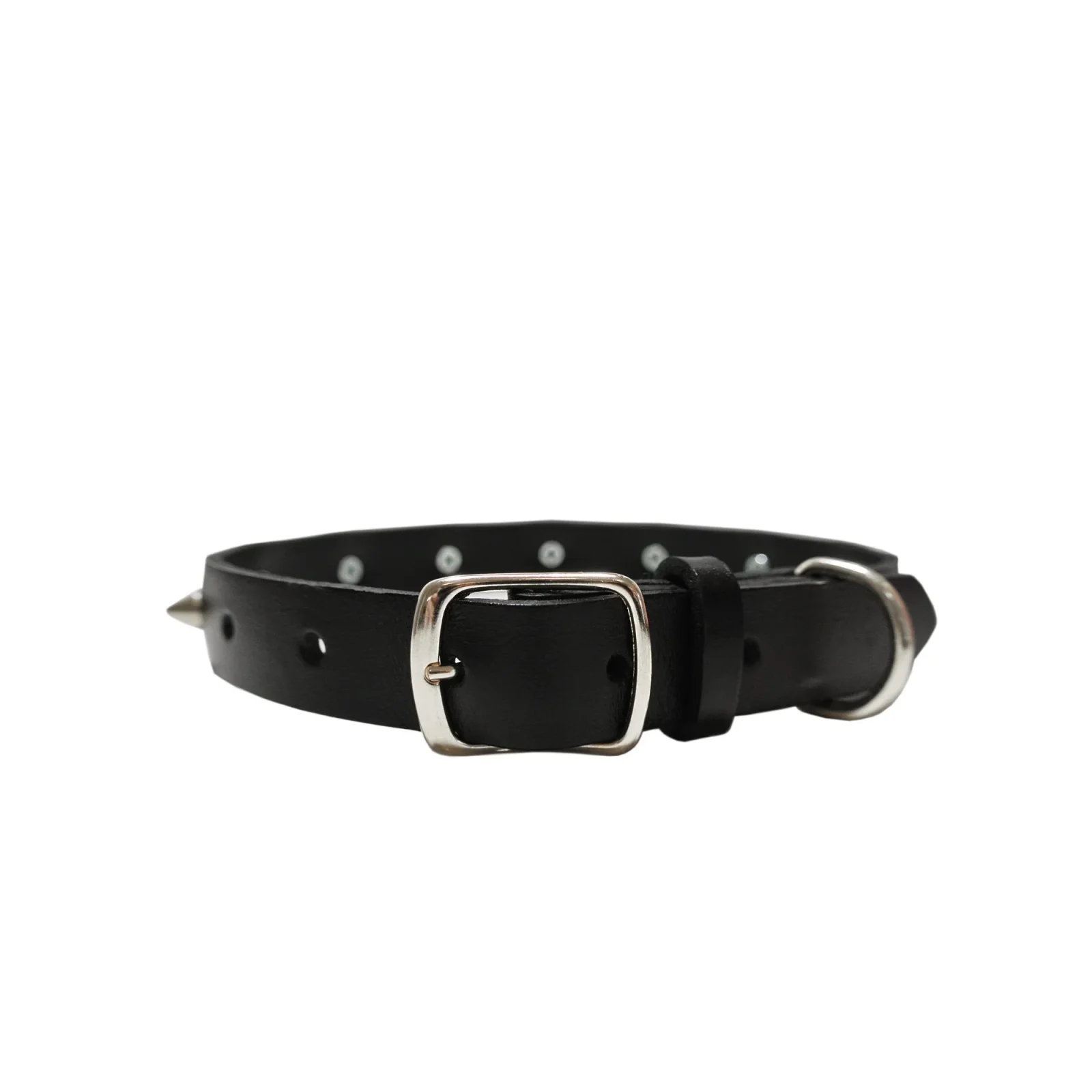 EYE OF DOG | Black Spike Collar - Image 2