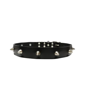 EYE OF DOG | Black Spike Collar