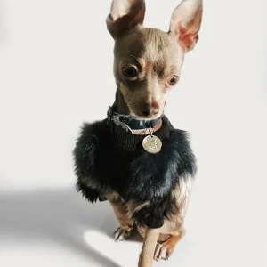 EYE OF DOG | Fluffy Pullover