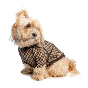 EYE OF DOG | Meshn Around Top in Black