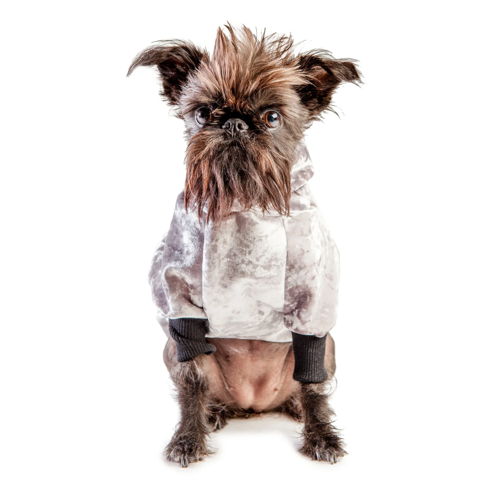 EYE OF DOG | NYC Hoodie in Silver Neoprene Velveteen (DOG & CO. Exclusive) - Image 2