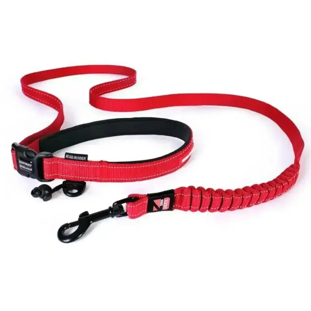 EZY Dog - Road Runner Leash
