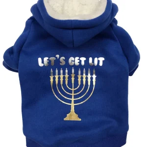 FAB DOG | Get Lit Hoodie in Blue