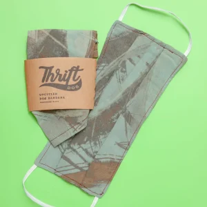 Face Mask & Dog Bandana Set in Mint Green