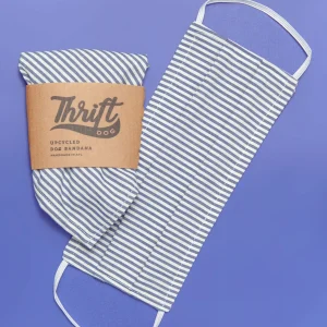 Face Mask & Dog Bandana Set in Nautical Stripe