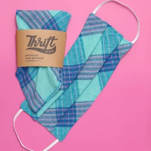 Face Mask & Dog Bandana Set in Teal Plaid