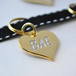 FAIR GOODS | Bae Tag