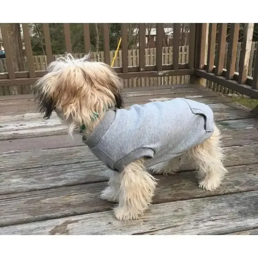 Fashion Pet Dog Sweatshirt Grey