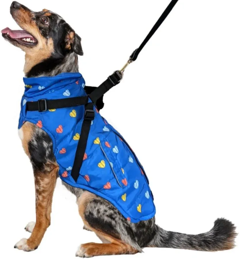 Fashion Pet Puffy Heart Harness Coat Blue - Medium
