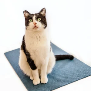 Feline Yogi Cat Mat (Made in the USA) <>