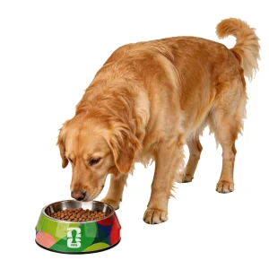 FIFA World Cup 2026 Pet Bowl - FIFA Color Pop, S-L