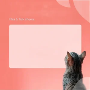 Flea Support Chews For Cats Salmon Flavor Flea And Tick Supplement For Cats Daily Oral Cat Flea And Tick