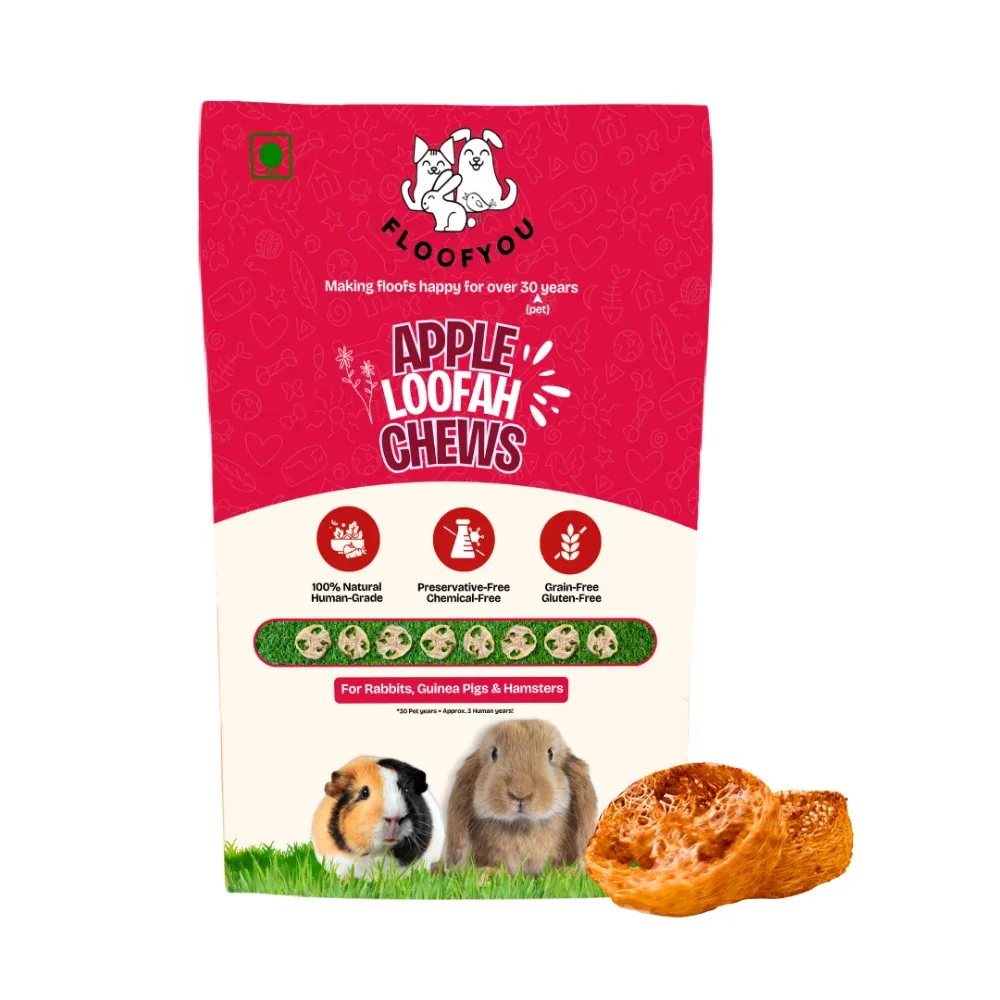 FloofYou Apple Loofah Chews Small Animal Treats