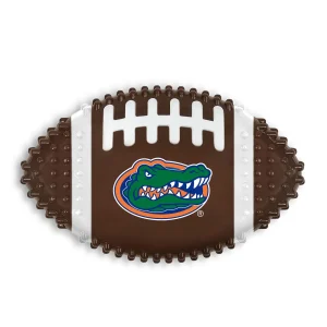 Florida Hard Nylon Football Dog Chew Toy
