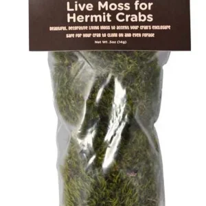 Fluker's Hermit Crab Live Moss Green 1ea/0.5 oz