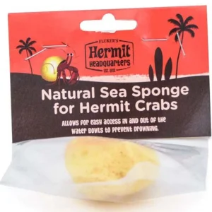 Fluker's Hermit Crab Natural Sea Sponge Yellow 1ea