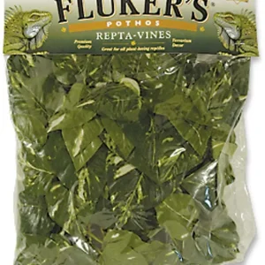 Fluker's Pothos Repta-Vines Green 1ea/6 ft