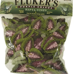 Fluker's Purple Coleus Repta-Vines Green, Purple 1ea/6 ft