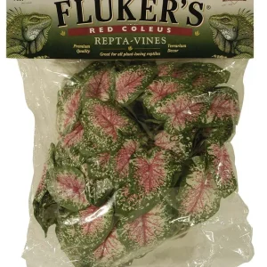 Fluker's Red Coleus Repta-Vines Green, Red 1ea/6 ft