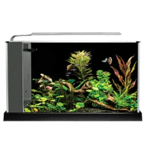 Fluval SPEC V Desktop Aquarium Kit - Black - 5 gal.