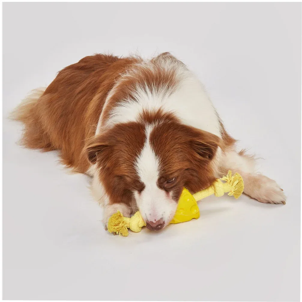 Fofos Cheese Shaped Chew Rope Toy for Dogs - Image 2