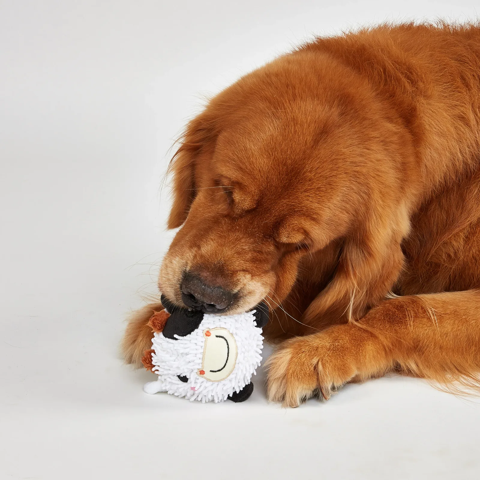 Fofos Pig and Cow Sprike Ball Animal Toy for Dogs - Image 2